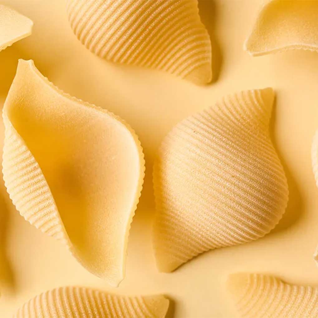 Bragagnolo Conchiglioni Pasta, Bronze Cut 2
